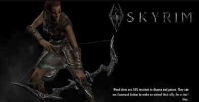 Bruce Nesmith explains Bethesda loading screen design choices in Skyrim