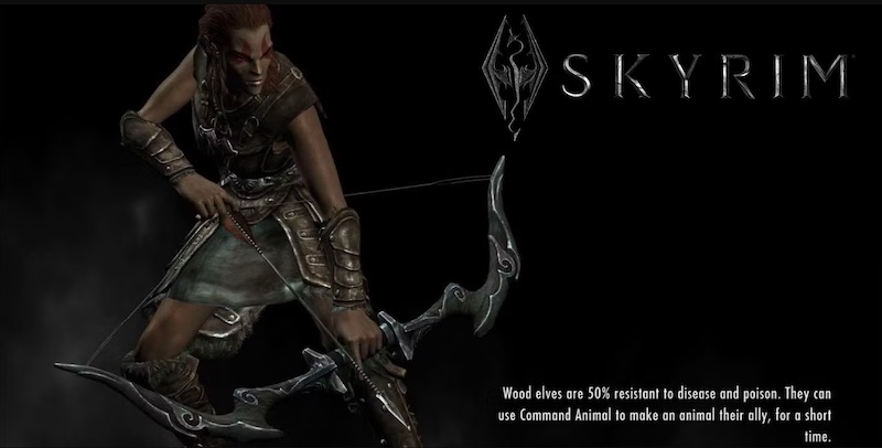 Bruce Nesmith explains Bethesda loading screen design choices in Skyrim