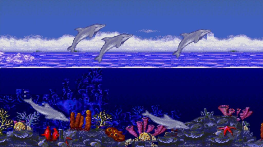 Ecco the Dolphin swimming through