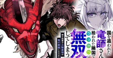 Kuni wo Owareta Ryuushi-san manga cover showing the protagonist in fantasy armor with magic aura