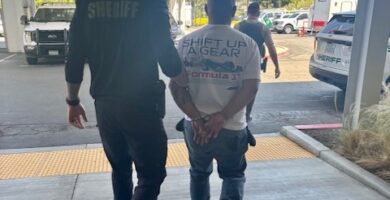 Police in California arrest man accused of stealing Nintendo Switch games from public libraries
