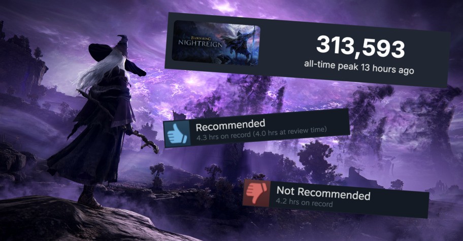 Elden Ring Nightreign reaches 313,000 Steam players after release