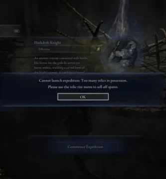 Elden Ring Nightreign expedition menu blocked due to relic cap warning