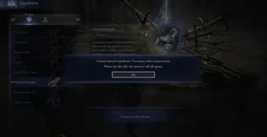 Elden Ring Nightreign expedition menu blocked due to relic cap warning