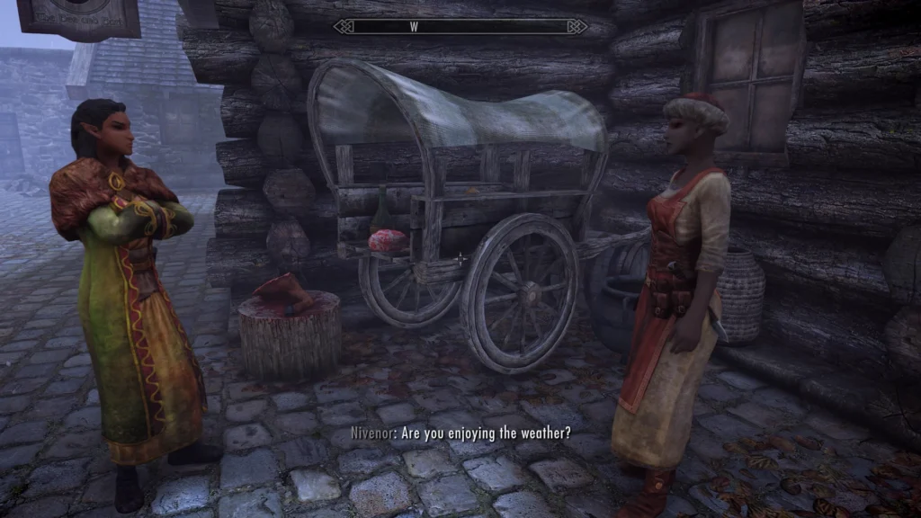 A Skyrim town scene with NPCs engaging in radiant-style conversations from the Echoes of Oblivion mod