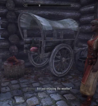 A Skyrim town scene with NPCs engaging in radiant-style conversations from the Echoes of Oblivion mod