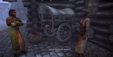 A Skyrim town scene with NPCs engaging in radiant-style conversations from the Echoes of Oblivion mod