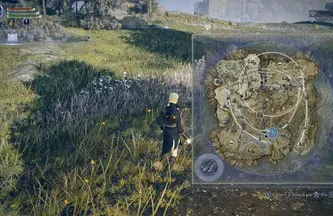Modded gameplay screenshot of Elden Ring Nightreign with randomized enemies and item placements