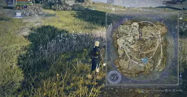 Modded gameplay screenshot of Elden Ring Nightreign with randomized enemies and item placements