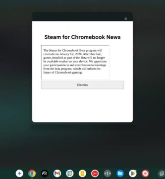 Steam for Chromebooks beta shutdown notice on launcher screen.