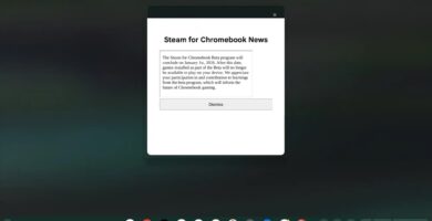 Steam for Chromebooks beta shutdown notice on launcher screen.